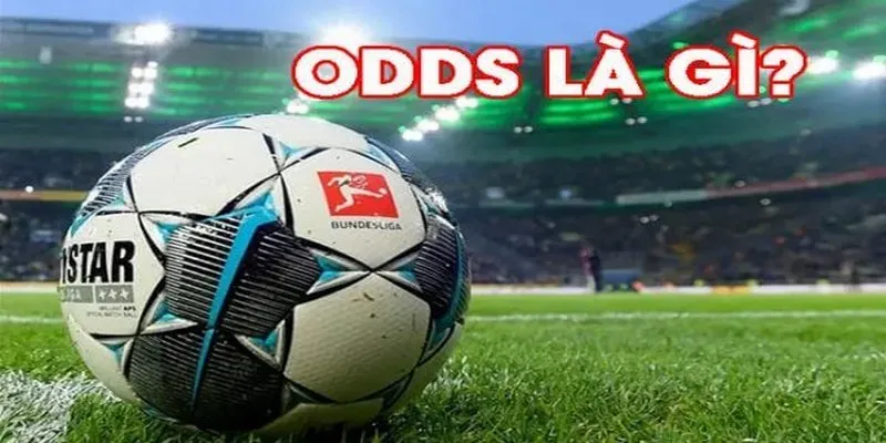 Odds Là Gì? Giải Đáp Toàn Bộ Thông Tin Chi Tiết Về Odds 